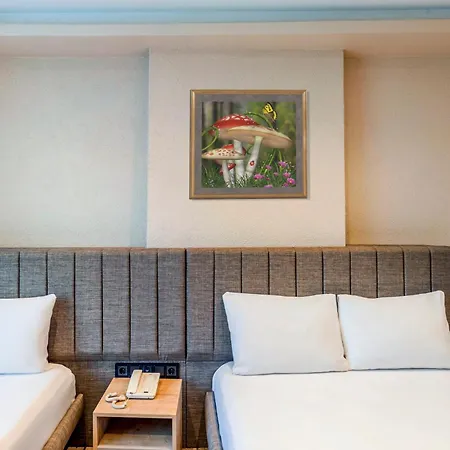 Evim Hotel 3*