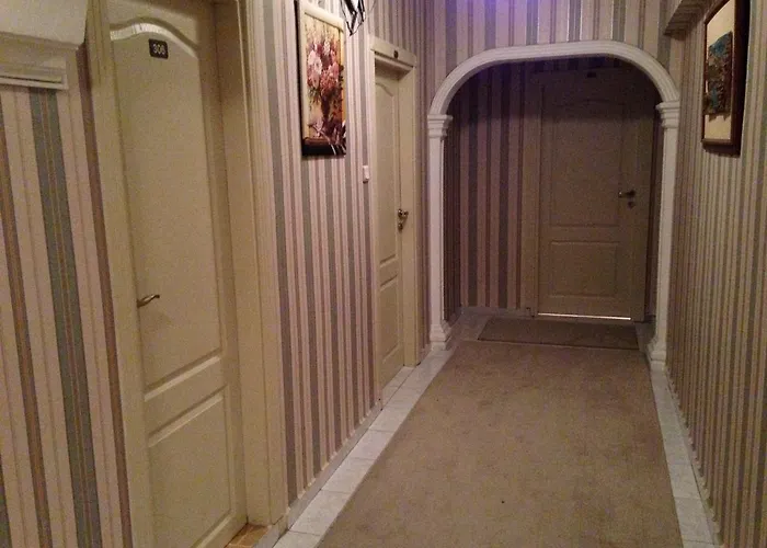 Evim アダパザル